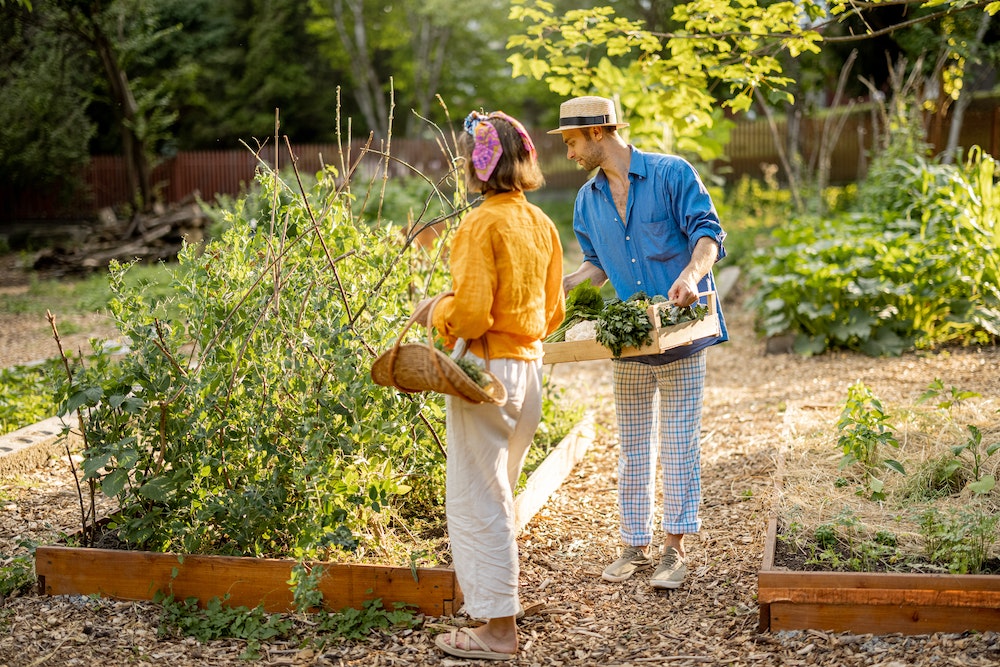 Comment un jardin peut accélérer la vente de votre maison