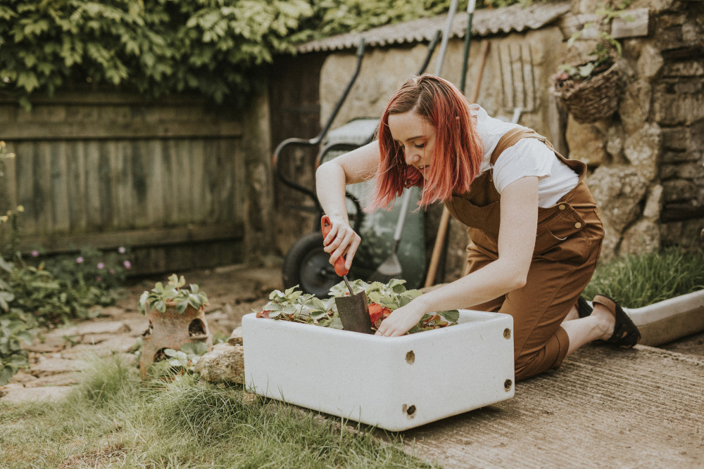 Créer un potager urbain : le guide pour cultiver la ville autrement