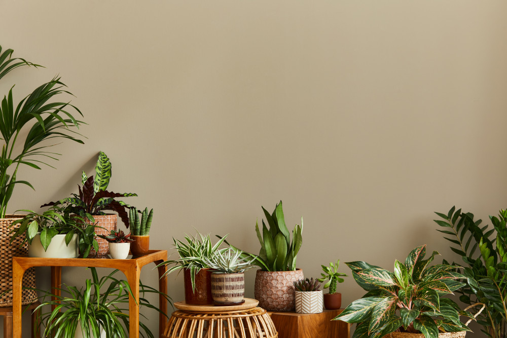 Le jardin à chaque saison : entretenir et sublimer votre espace vert tout au long de l'année