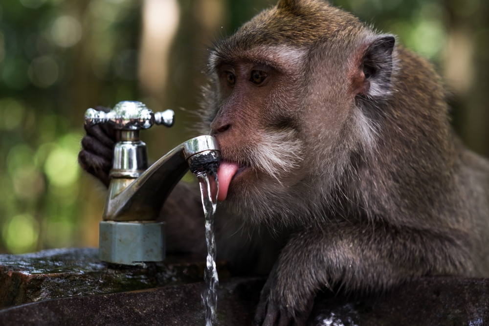 Recherche de fuite d'eau : comprendre l'assurance, les dégâts des eaux et les prix