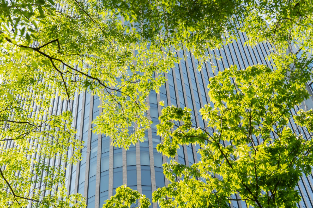 L'immobilier vert : la révolution écologique qui transforme le marché